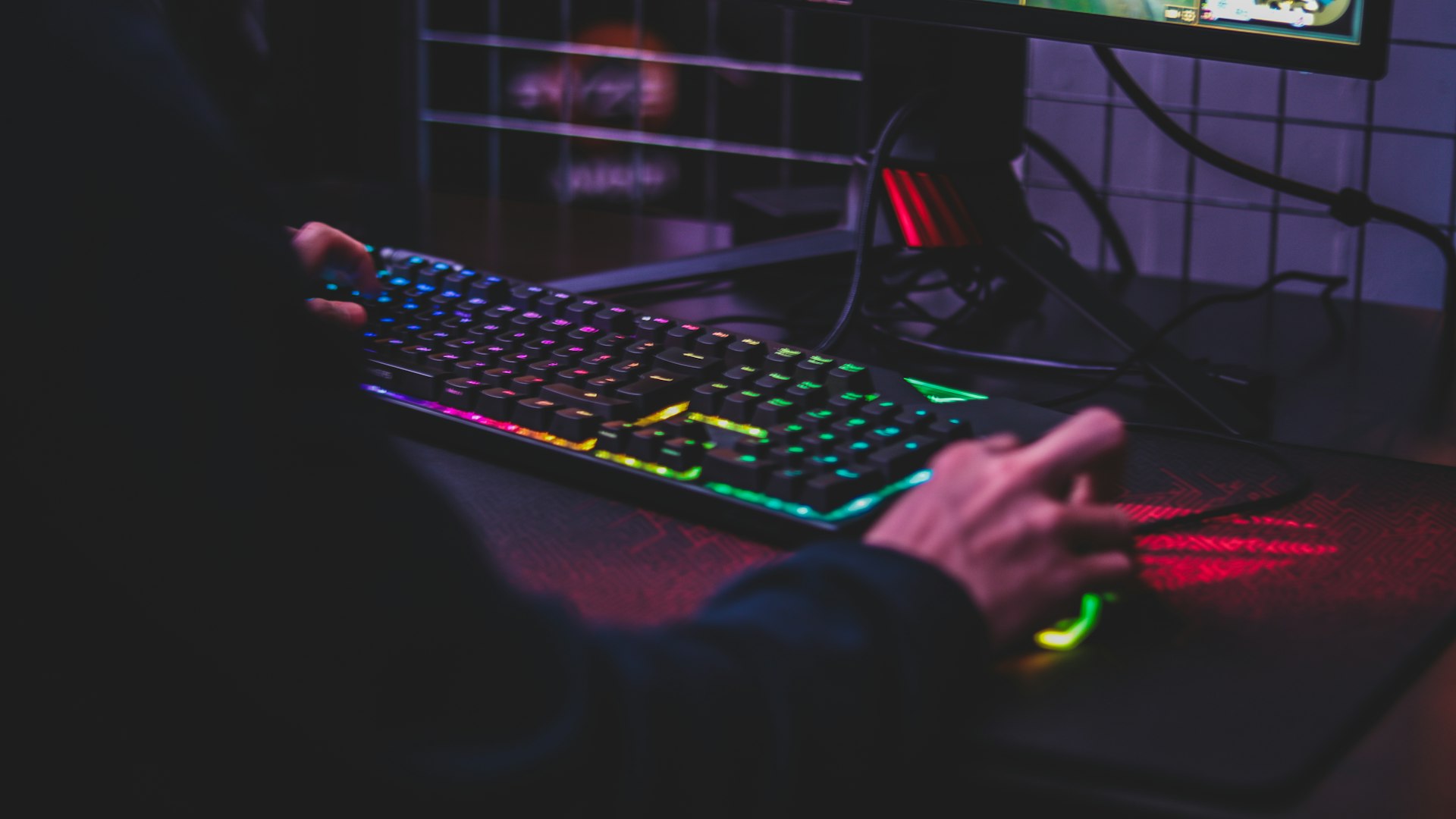 NovaWild Protocol developers at work in the Hoxton studio